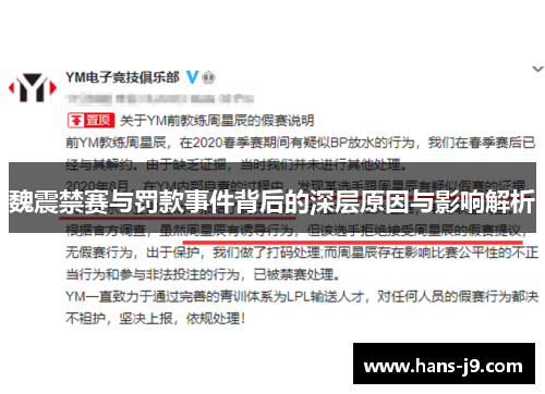 魏震禁赛与罚款事件背后的深层原因与影响解析
