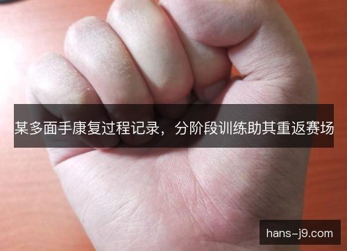 某多面手康复过程记录，分阶段训练助其重返赛场
